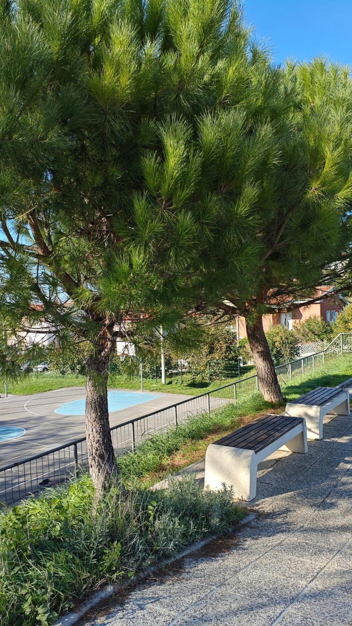 Apartments Tomisic Koper Extérieur photo